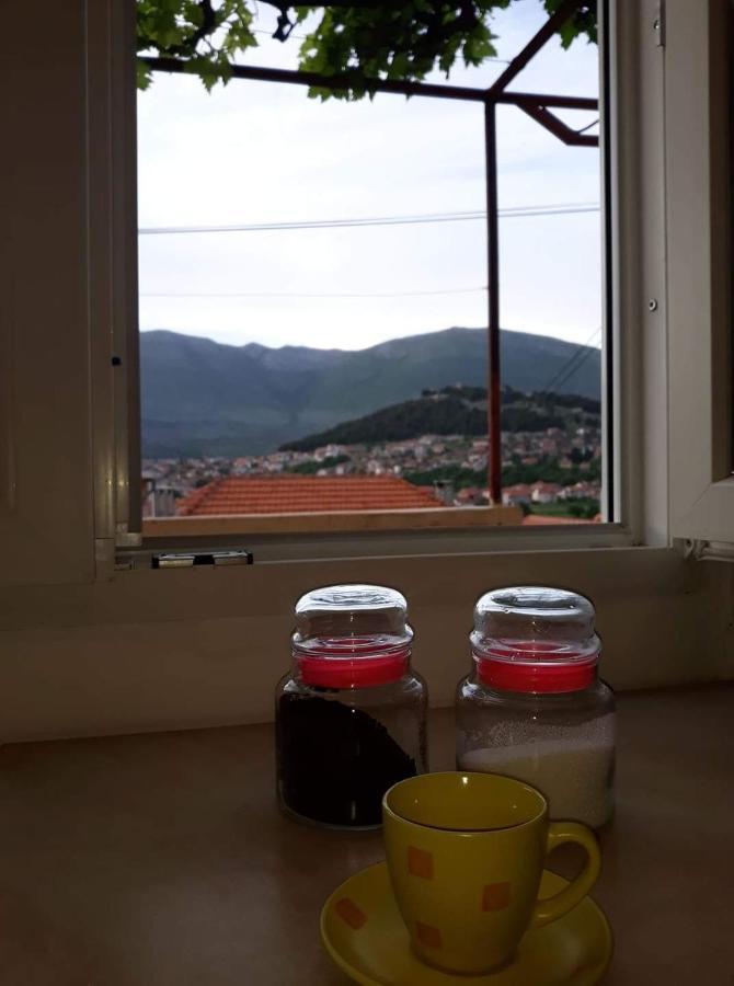 Apartment Tanja Τρέμπινιε Εξωτερικό φωτογραφία