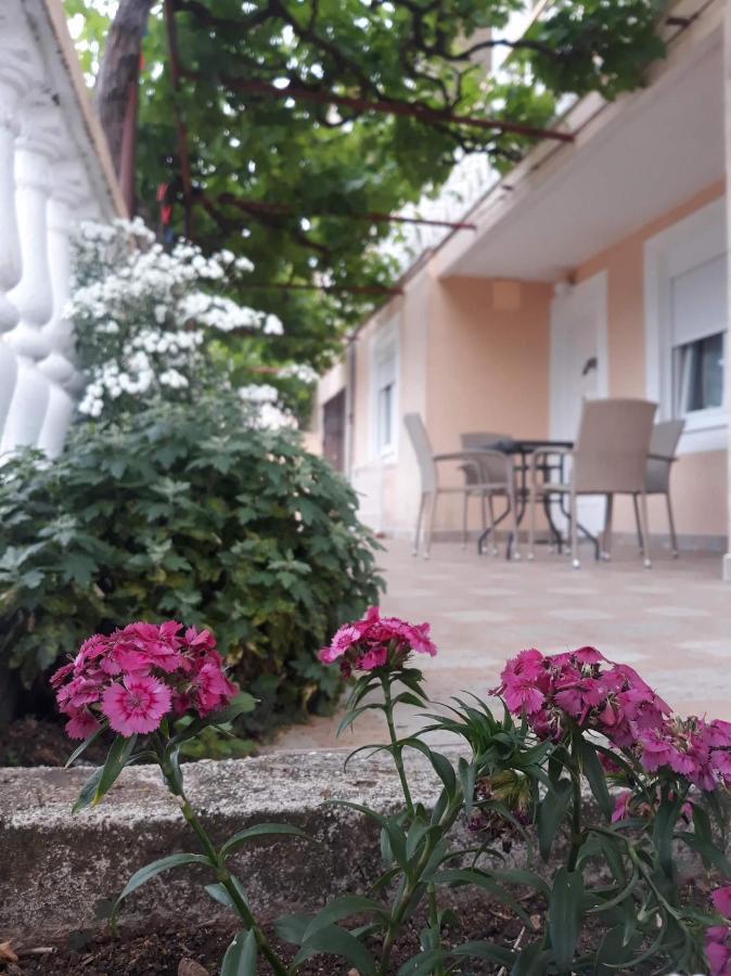 Apartment Tanja Τρέμπινιε Εξωτερικό φωτογραφία